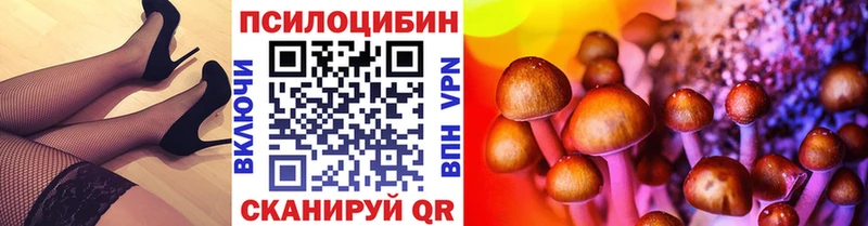 Псилоцибиновые грибы MAGIC MUSHROOMS  KRAKEN ССЫЛКА  Тогучин 